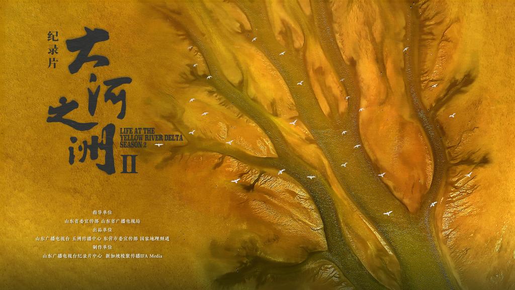 文化新观察丨中国纪录片探索高质量发展