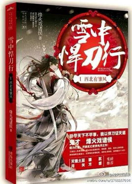 被亿万人追捧的经典网络小说，无可超越的口碑神作，让人回味无穷