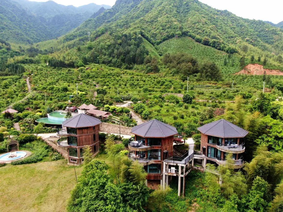 浦城：​“乡贤+”绘就乡村振兴新画卷