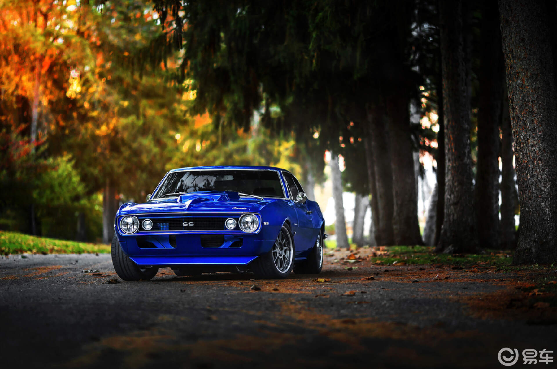 自驾出行必备:自驾租车软件排名及选择指南