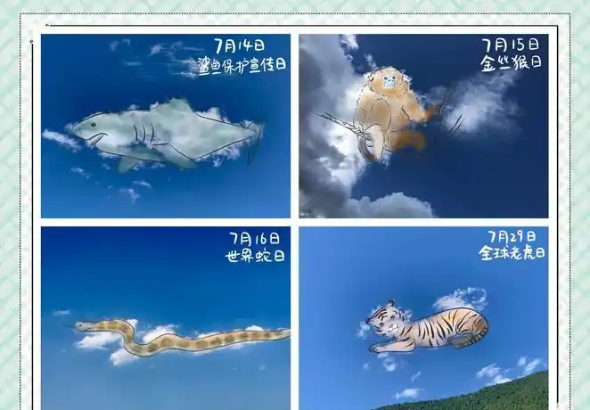 7月27日逆转之夜：被低估的主队如何拼出奇迹