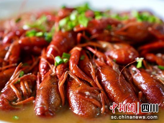 隆昌： 让“中国石牌坊之乡”走向更诗意的“远方”