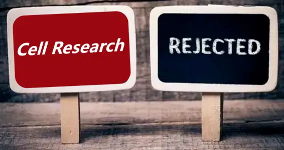 期刊投稿之前不得不注意的事