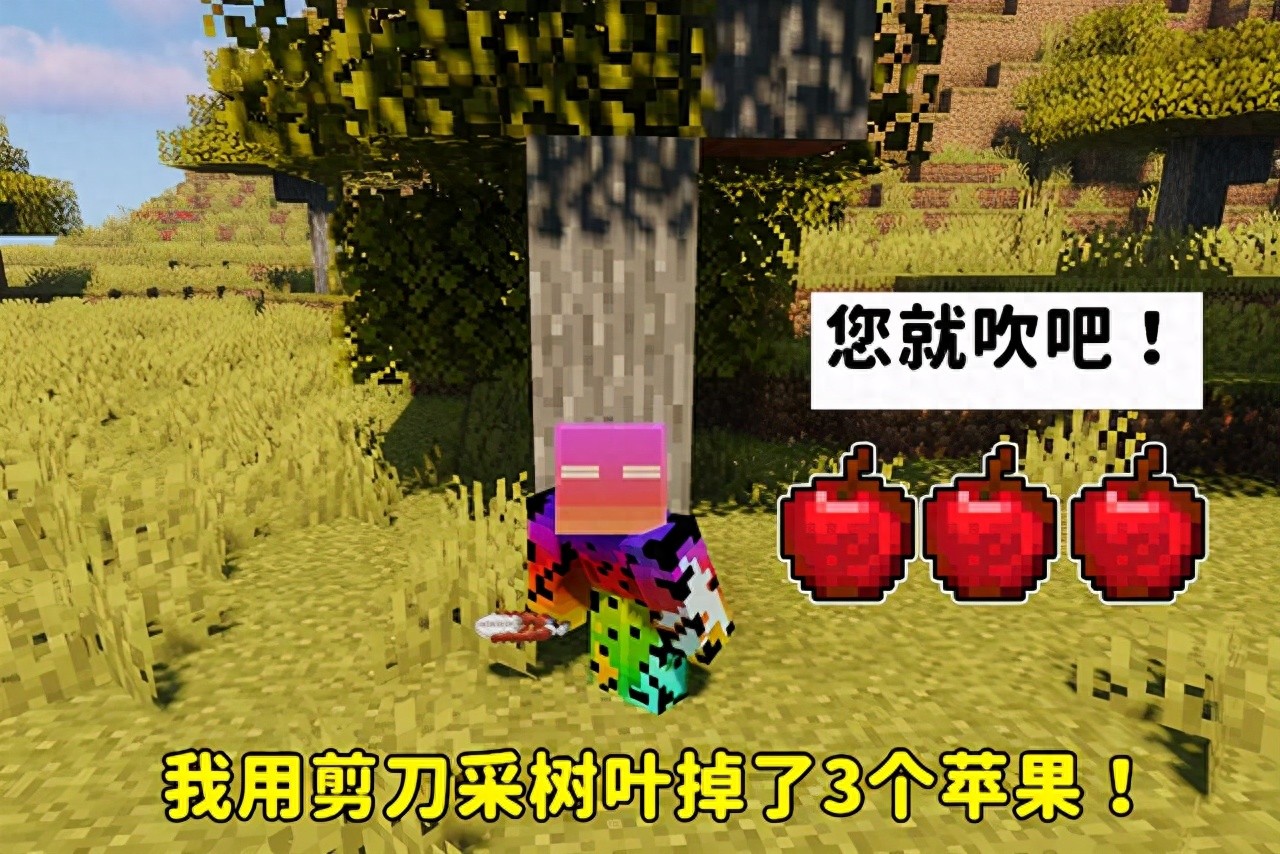 我的世界：一个存档打了20多次末影龙？“不懂特性，别乱吹牛”