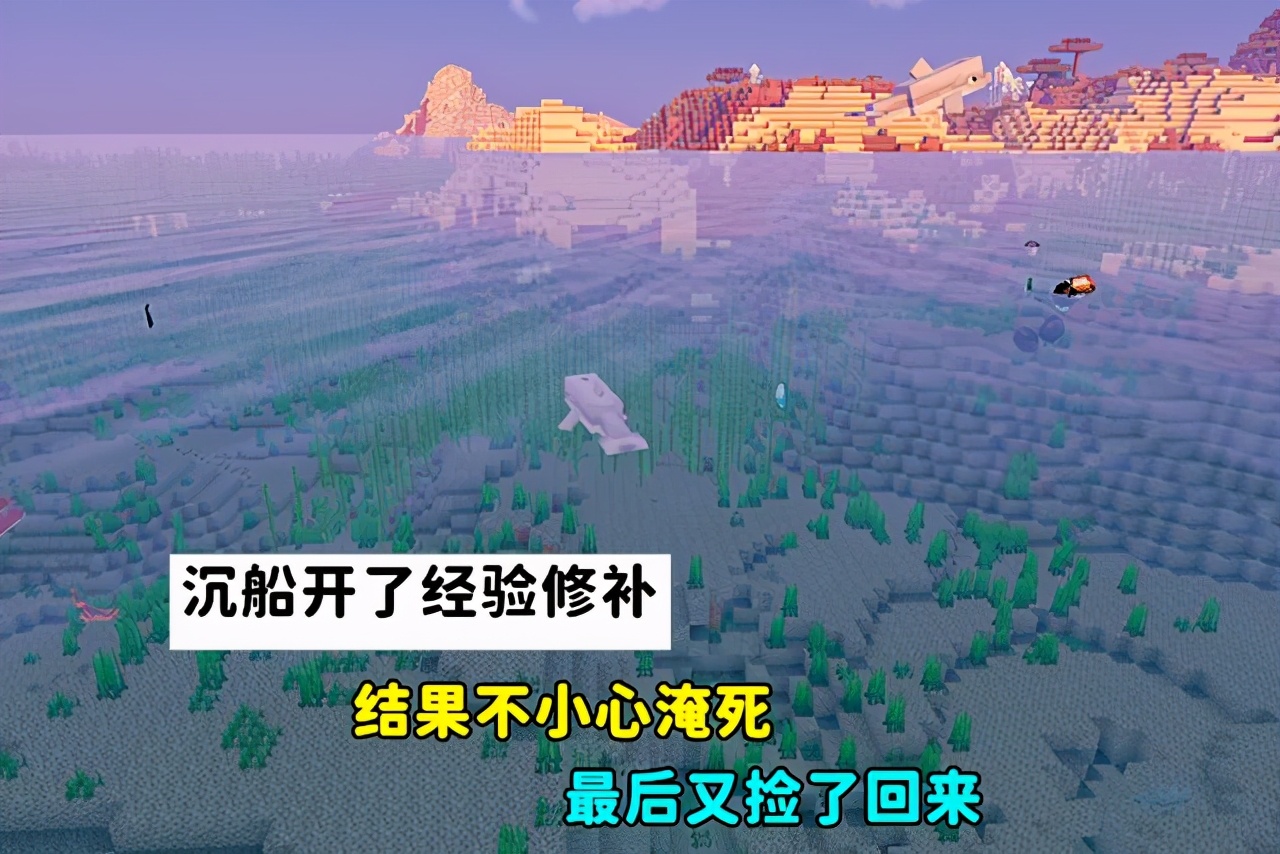 我的世界：一个存档打了20多次末影龙？“不懂特性，别乱吹牛”