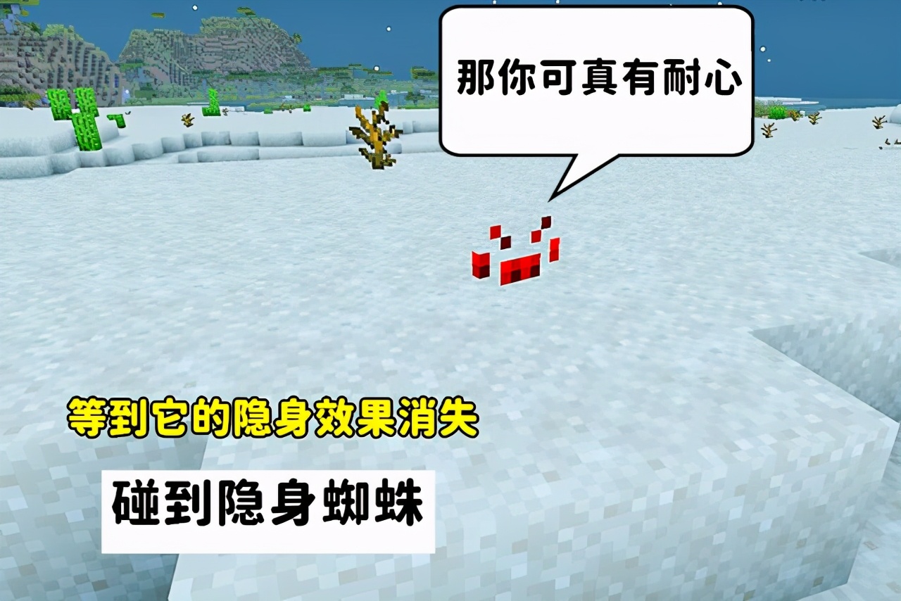 我的世界：一个存档打了20多次末影龙？“不懂特性，别乱吹牛”