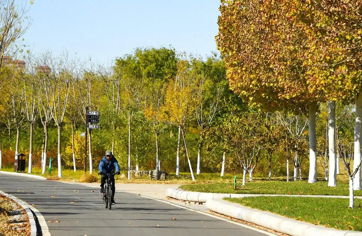 天津东丽湖的幸福河湖与多元产业新篇章