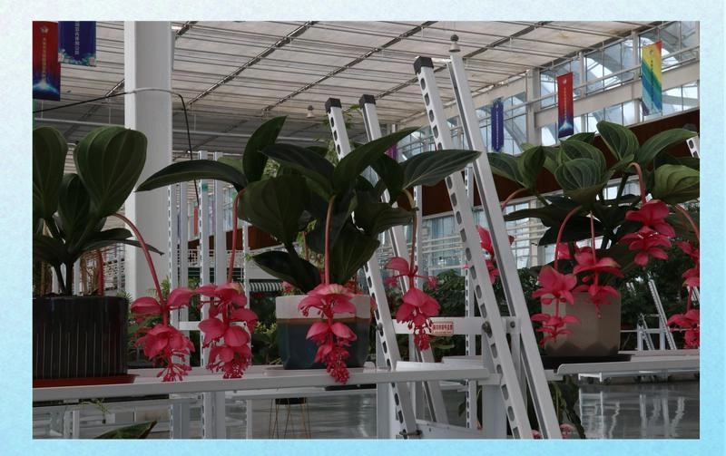 天津东丽湖的幸福河湖与多元产业新篇章