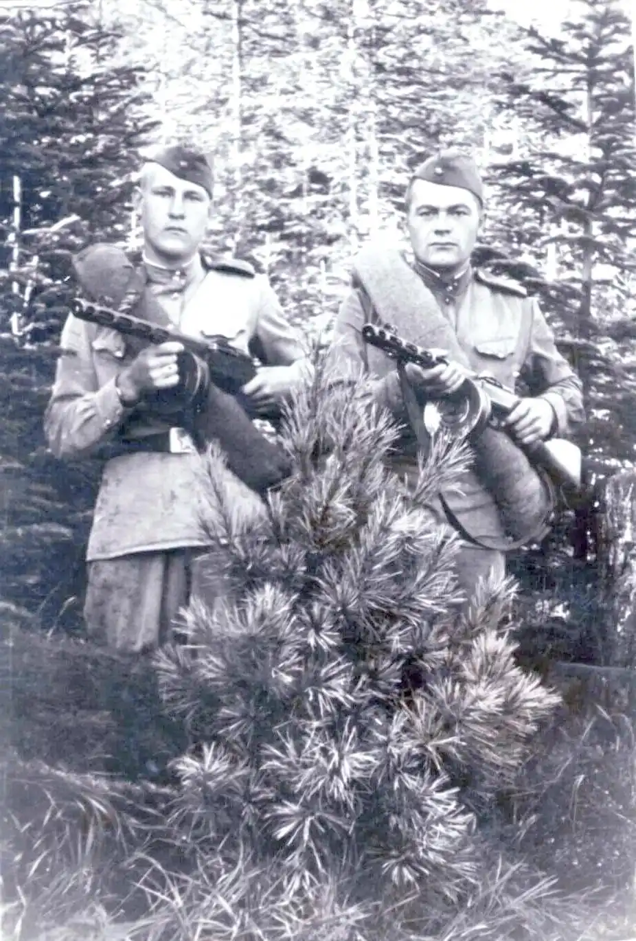 冷战时期的步枪革命：从SKS到M14