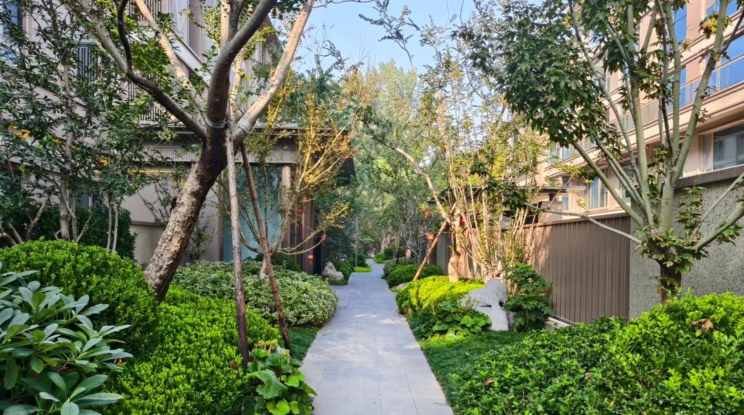 近期，青岛4万/平高端盘交付的刚需感，让人惊掉下巴