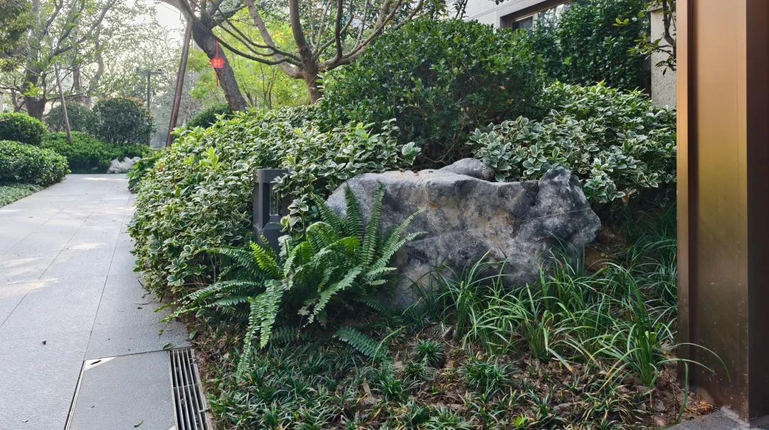 近期，青岛4万/平高端盘交付的刚需感，让人惊掉下巴