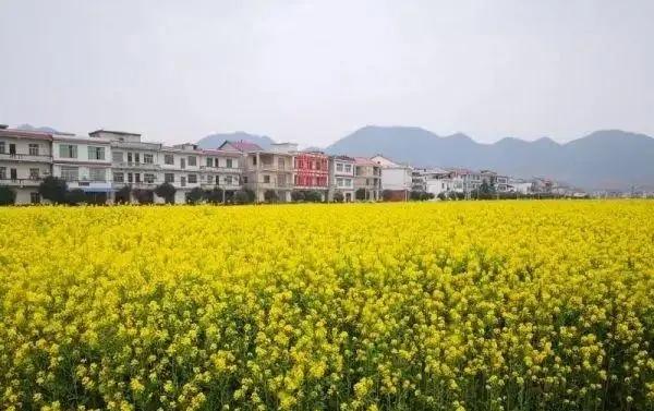 [湖南 娄底市（涟源市）桥头河镇]