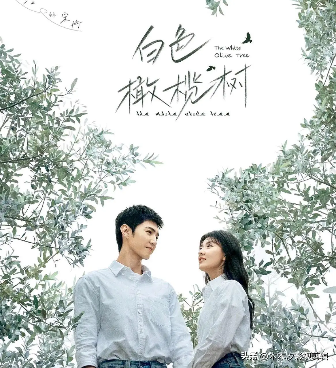 必看！2025年8部高口碑“都市爱情剧”，邂逅浪漫，感动满满！