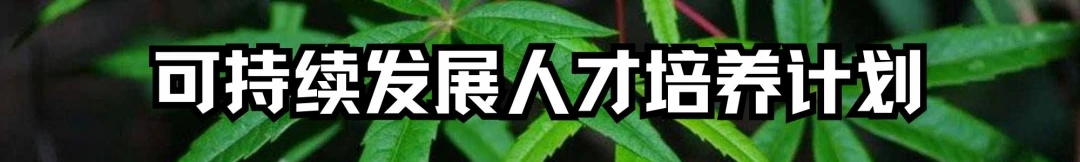 全球环境治理破局者,差一个你!绿会国际部青年人才培养计划招募