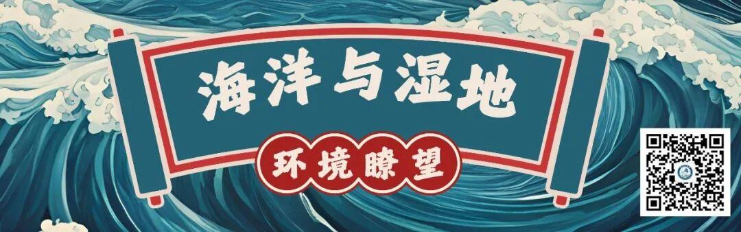 全球环境治理破局者,差一个你!绿会国际部青年人才培养计划招募