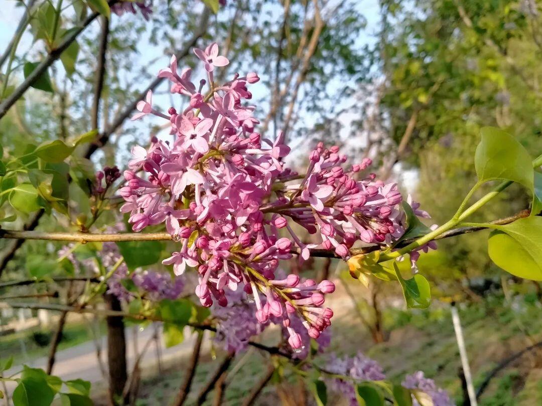 全球环境治理破局者,差一个你!绿会国际部青年人才培养计划招募