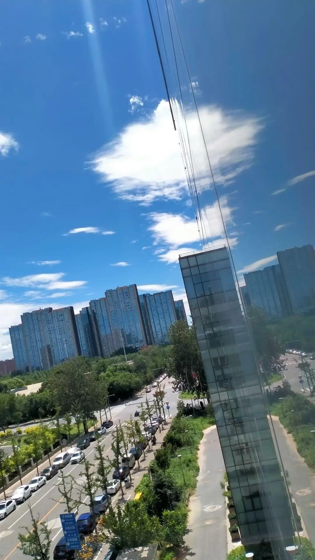 全球环境治理破局者,差一个你!绿会国际部青年人才培养计划招募