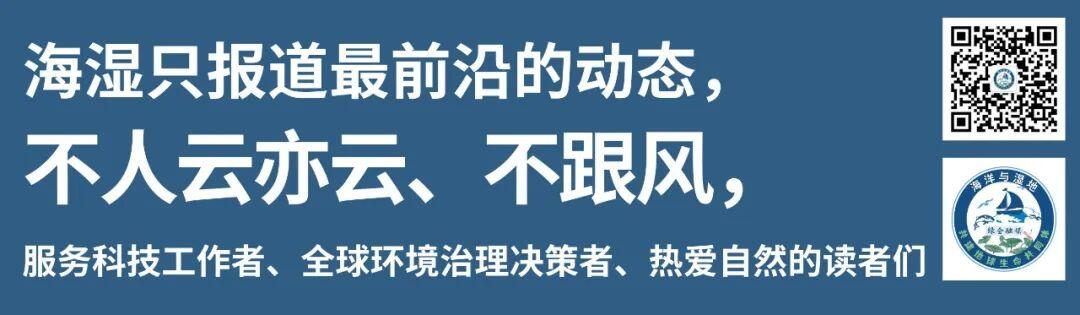 全球环境治理破局者,差一个你!绿会国际部青年人才培养计划招募