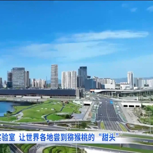 四川新闻联播丨四川：深化科技合作 扩大国际“朋友圈”