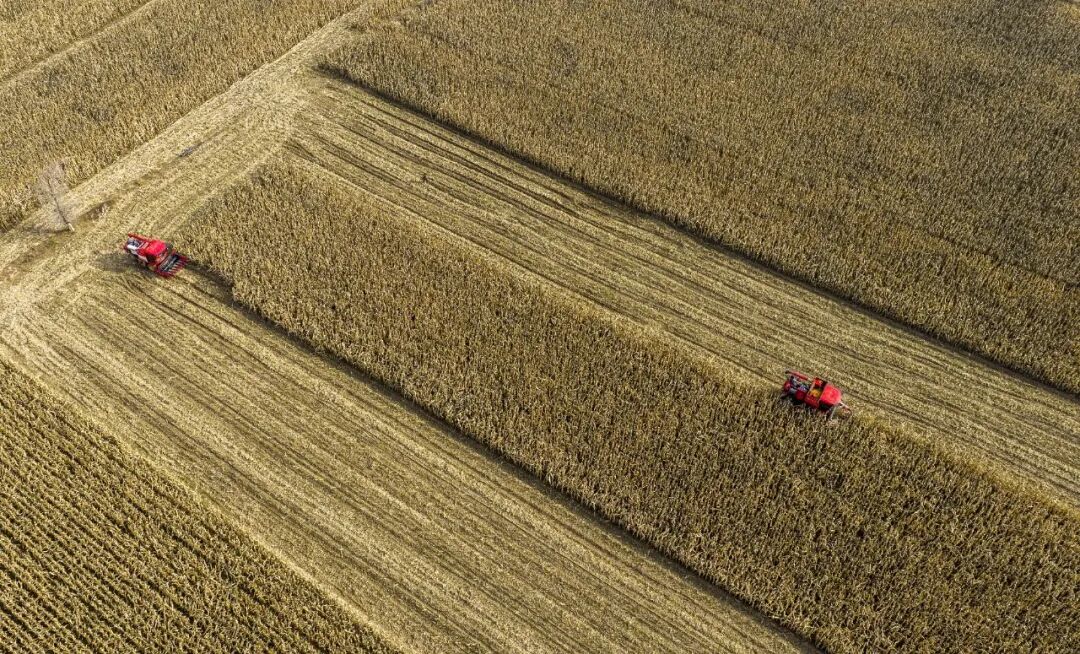 重磅！2025年度榆林十大新闻来了，看看都有哪些~