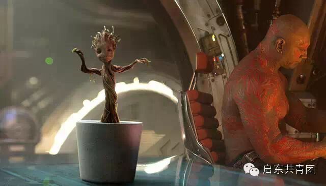 2014年度电影鉴选