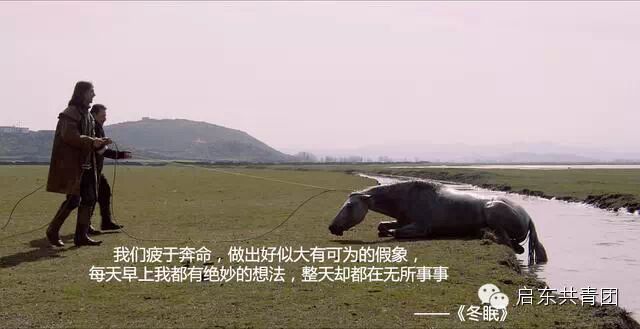 2014年度电影鉴选