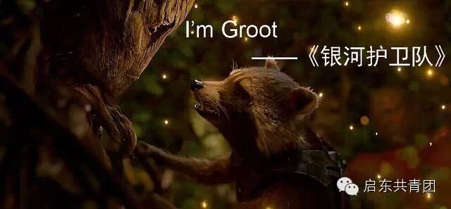 2014年度电影鉴选