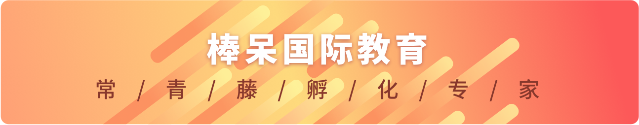 美国版翟天临竟这么多！《纽约时报》揭露美国论文代写作弊丑闻