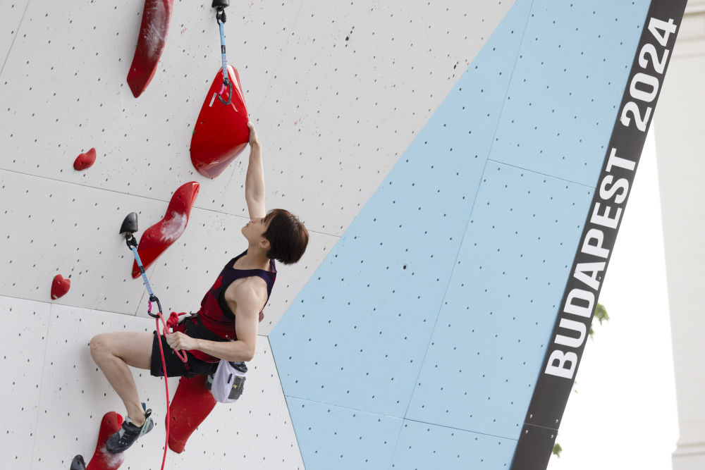 巴黎奥运会 | 用时最短的世界纪录，还会更快？——巴黎奥运会攀岩项目前瞻