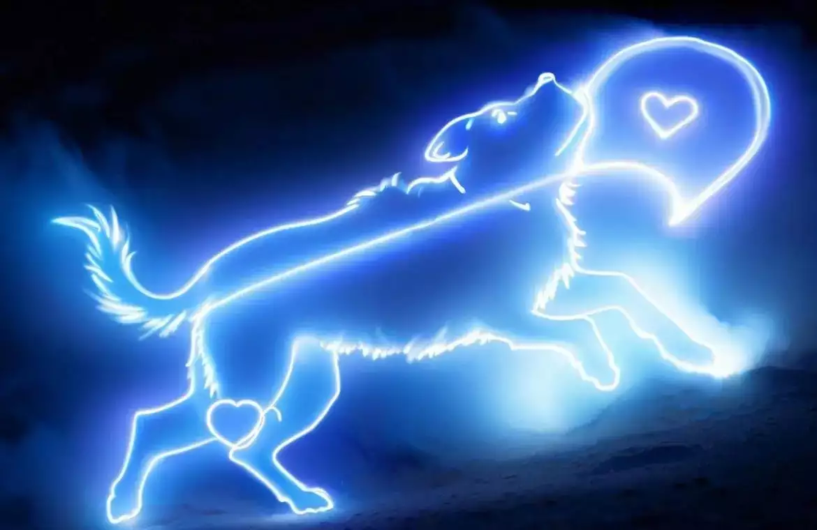 揭开面善心狠的星座面纱