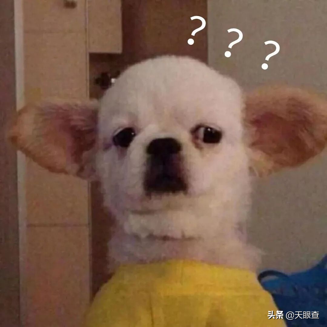 中国第一社交网站“人人网”，回来了