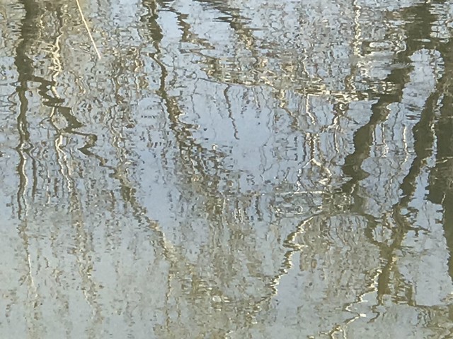 愤怒的消逝：当沉默成为时代的底色