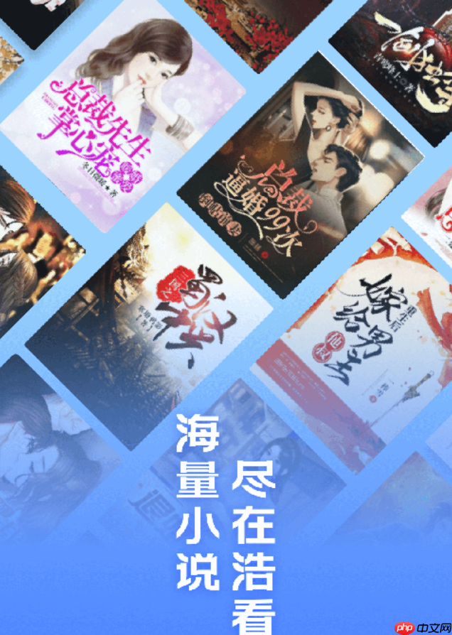 十大免费小说app_好看小说阅读软件推荐