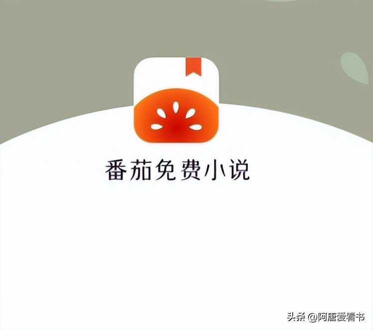 2025年最火8款小说APP推荐！让你告别书荒，沉浸式阅读体验！