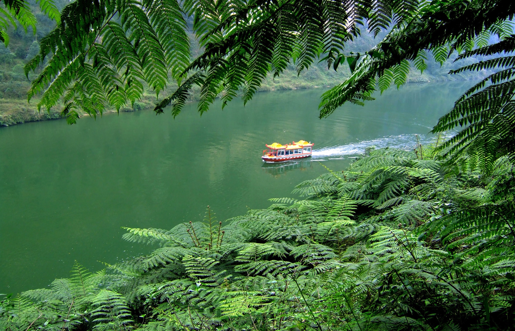 开好局起好步丨拥江发展 犍为“适水产业”跑出加速度
