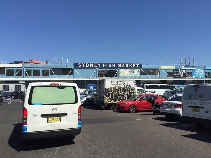 春节假期就在眼前，怎么安排最合理？