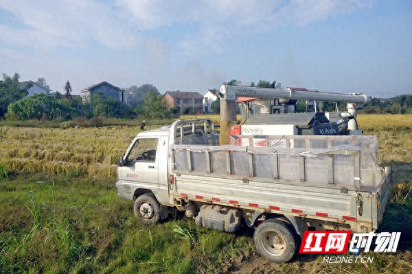 同世界·共北斗丨株洲:“北斗+”赋能 让现代农业拥有“高科技”