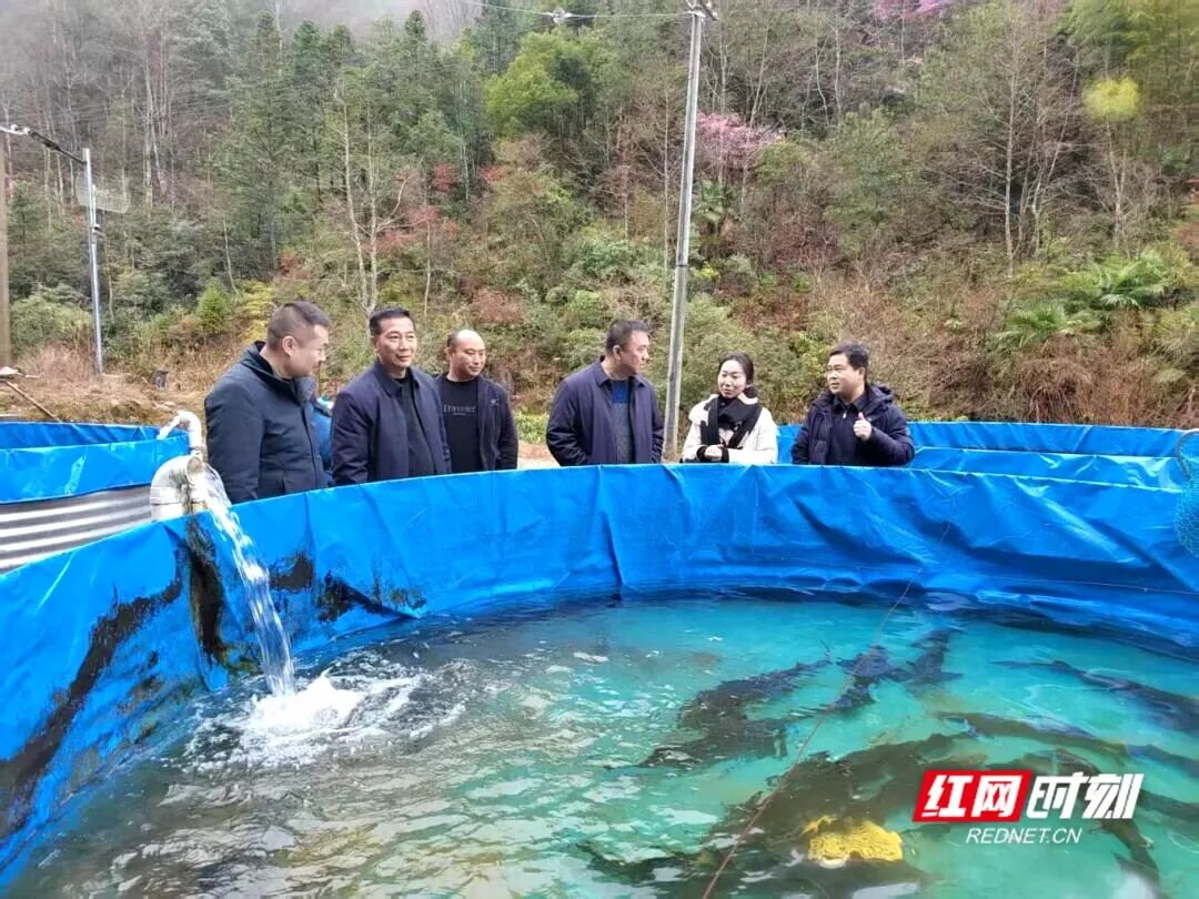 观潮的螃蟹丨株洲农村的“明白钱”