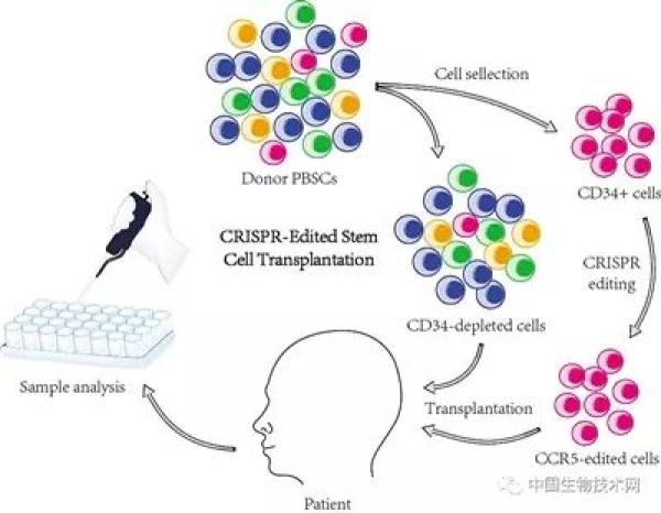 盘点2019十大国内科技新闻,这是中国创新路上的里程碑