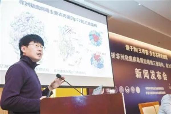 盘点2019十大国内科技新闻,这是中国创新路上的里程碑