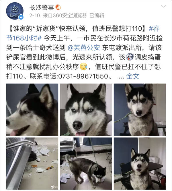 2月爆笑新闻盘点火热出炉！