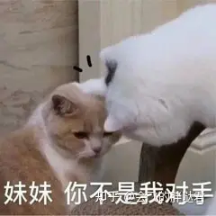 写文章能赚钱吗?写好了文章想投稿应该投哪里?