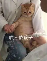 写文章能赚钱吗?写好了文章想投稿应该投哪里?