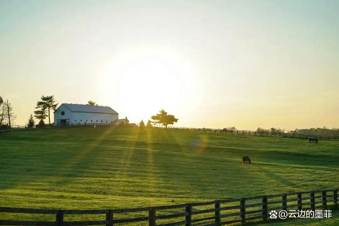 自媒体写作真相：靠投稿月入过万，根本不值得羡慕