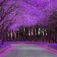 DNF的狂战觉醒需要什么前置技能?