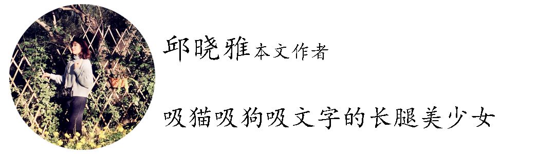 被围剿、被约谈,估值300亿美金的今日头条如何应对危机