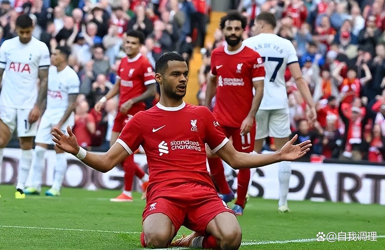 荷兰开场折损大将，巴萨中场宣布无缘欧洲杯，3大核心全伤了