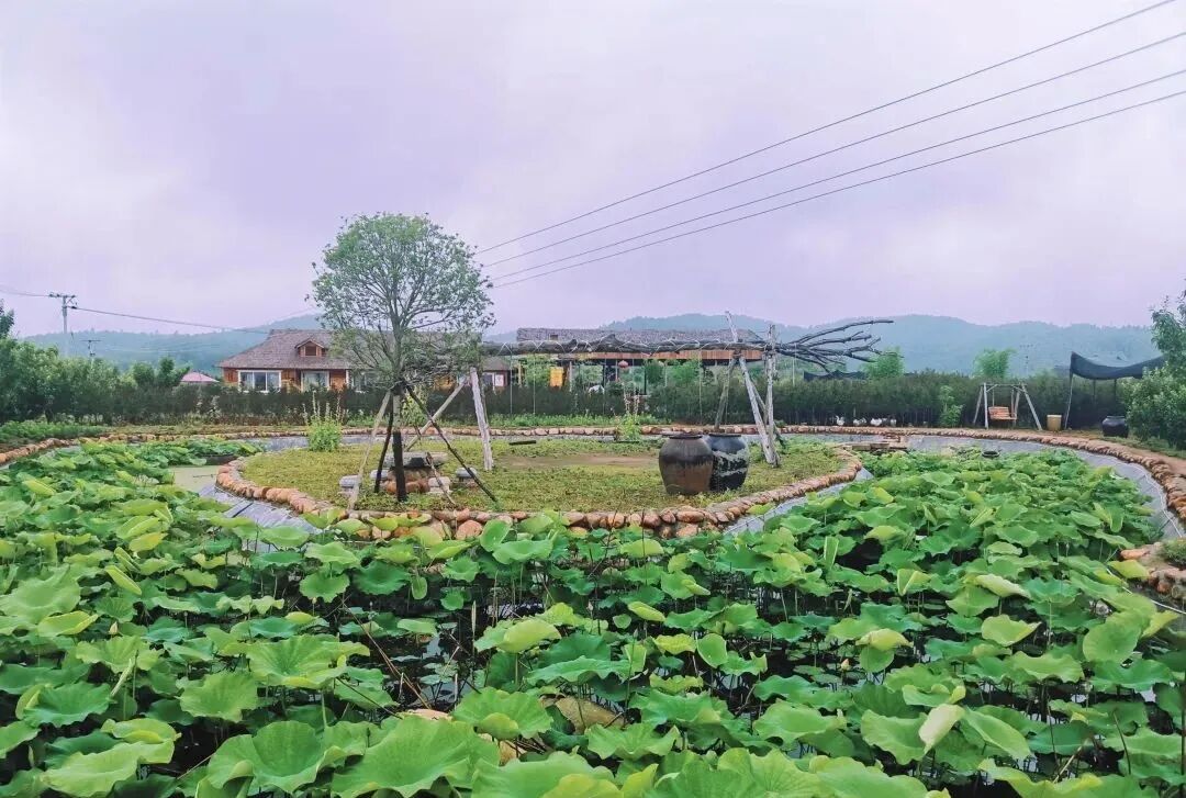 中国最好的避暑城市：7月均温21°C，气候养人，住过就不想走