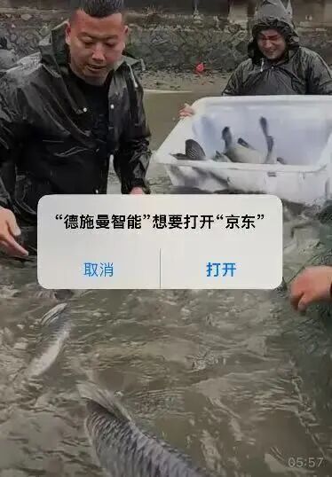 重磅！官方对淘宝霸屏广告展开调查！硬控十亿人的摇一摇广告要被治了？