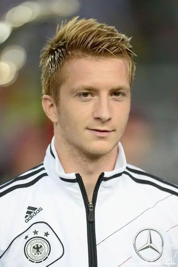 八大无缘今夏欧洲杯的球星 荷兰铁闸西班牙瑞典传奇在列